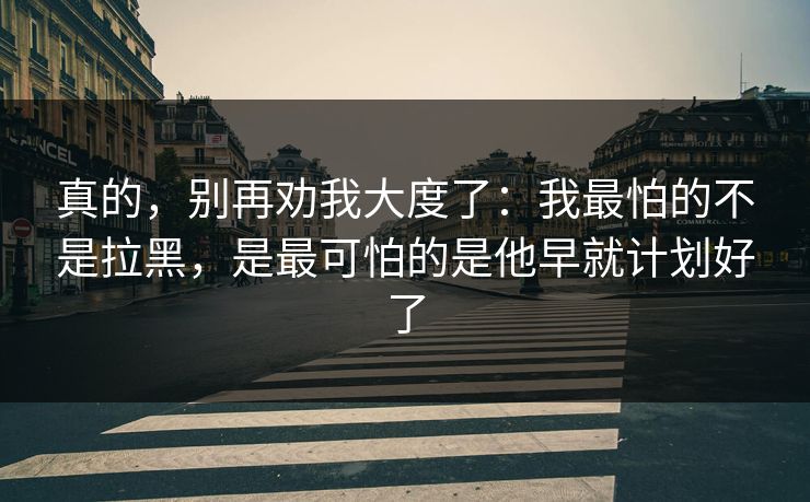 真的，别再劝我大度了：我最怕的不是拉黑，是最可怕的是他早就计划好了
