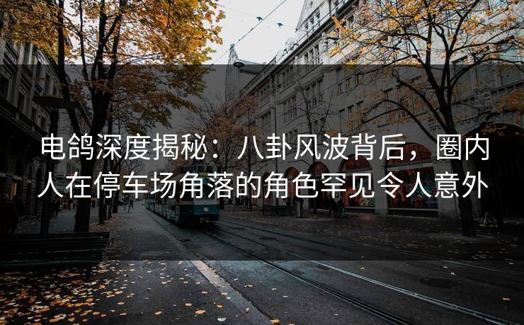 电鸽深度揭秘：八卦风波背后，圈内人在停车场角落的角色罕见令人意外